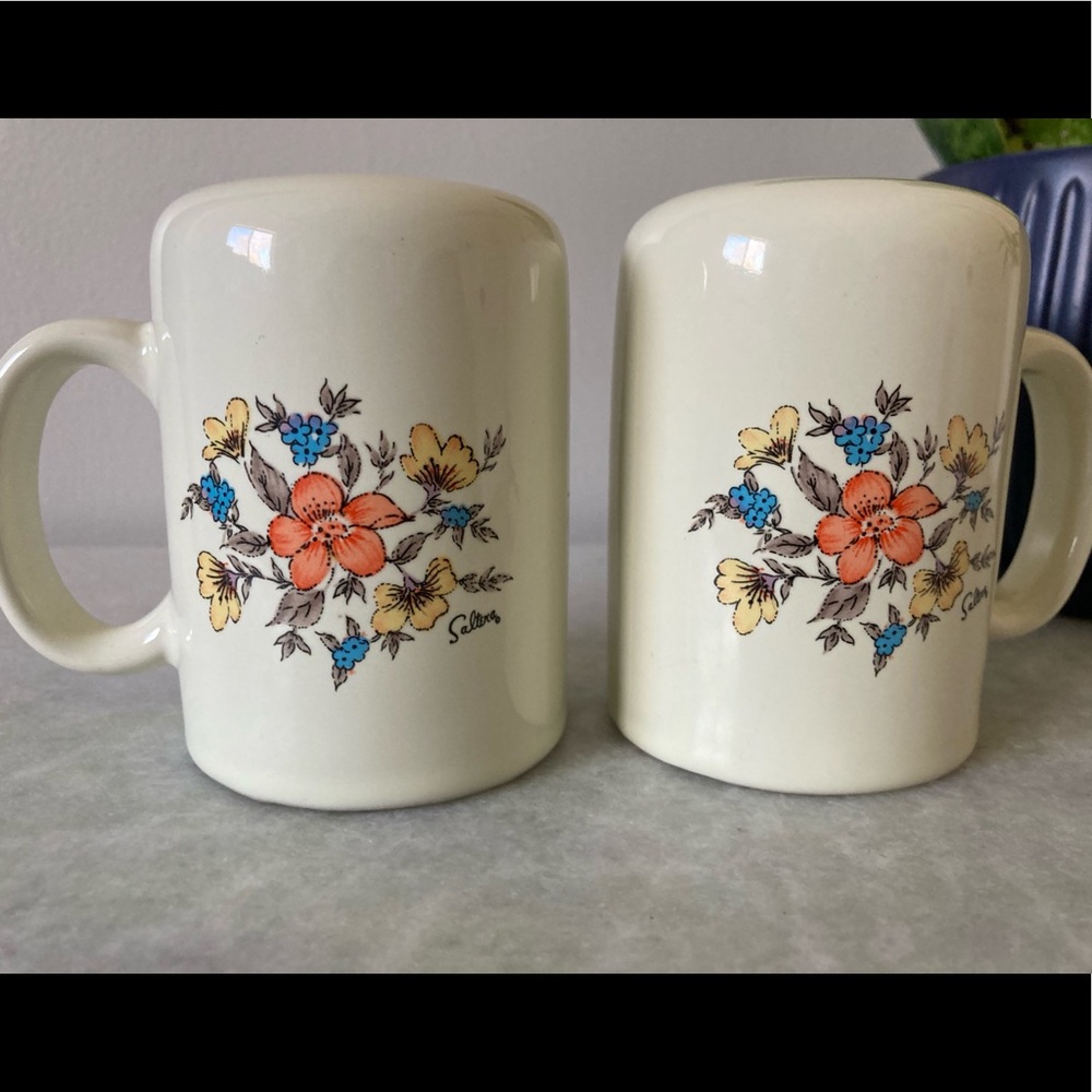 Vintage floral print salt and pepper shaker set